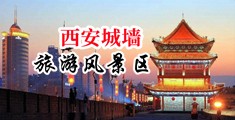 大鸡吧在线免费视频中国陕西-西安城墙旅游风景区